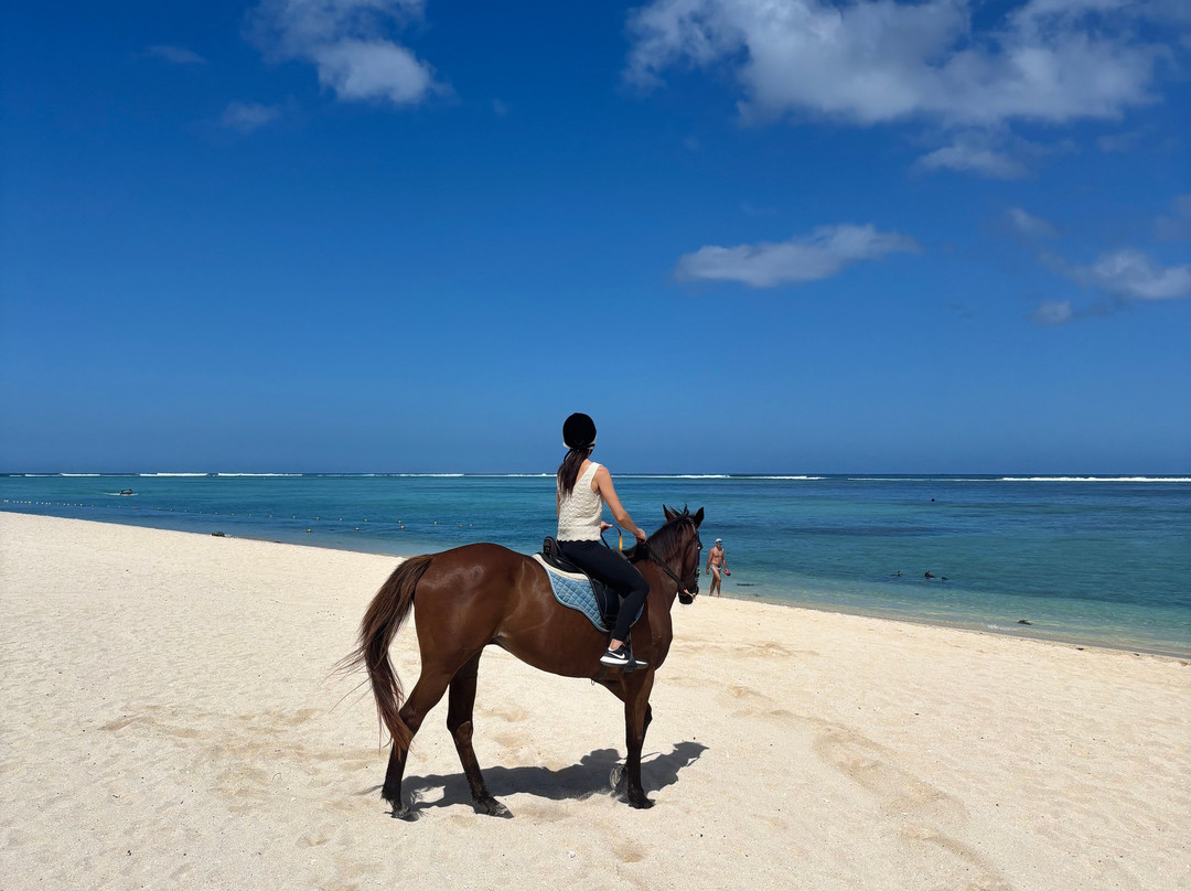 Haras Du Morne-莫纳山必去景点