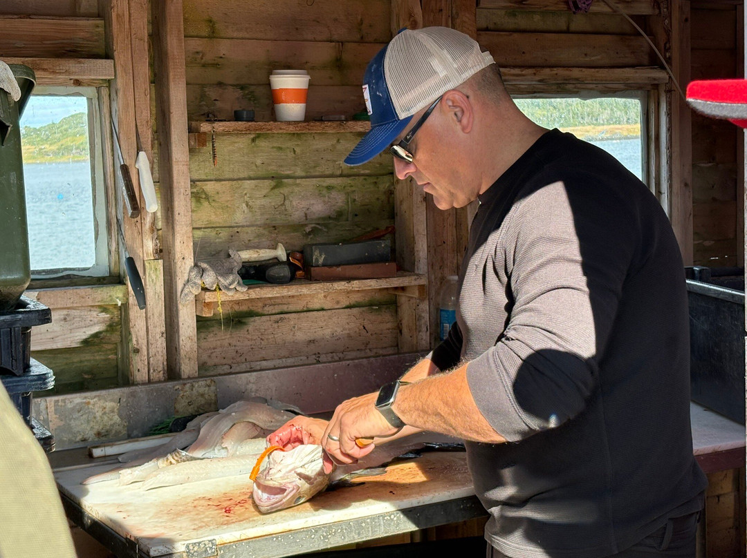 Daily Catch Ocean Tours-St Lunaire-Griquet必去景点