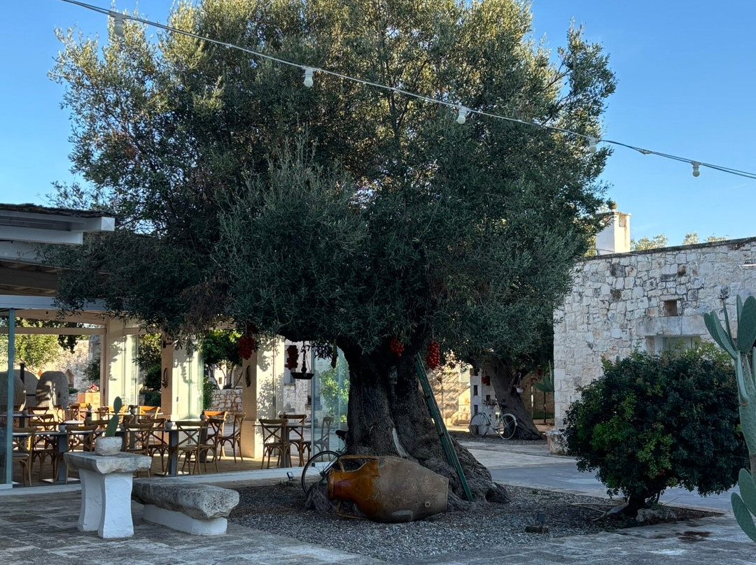 Masseria Fortificata Ayroldi主图