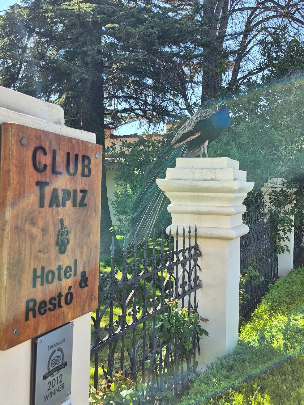 Club Tapiz Hotel-官方