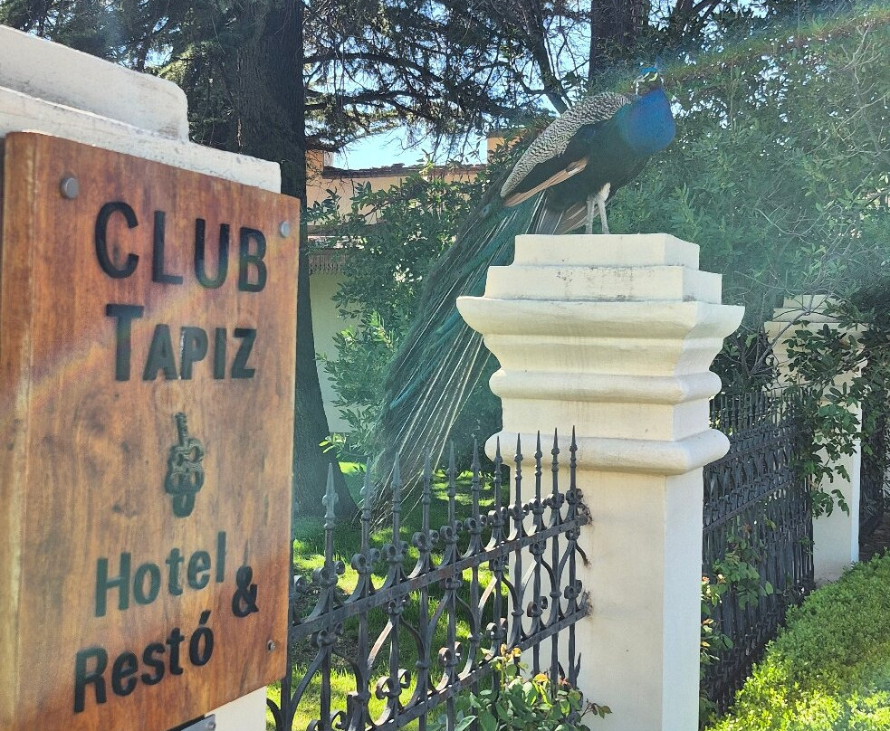 Club Tapiz Hotel主图
