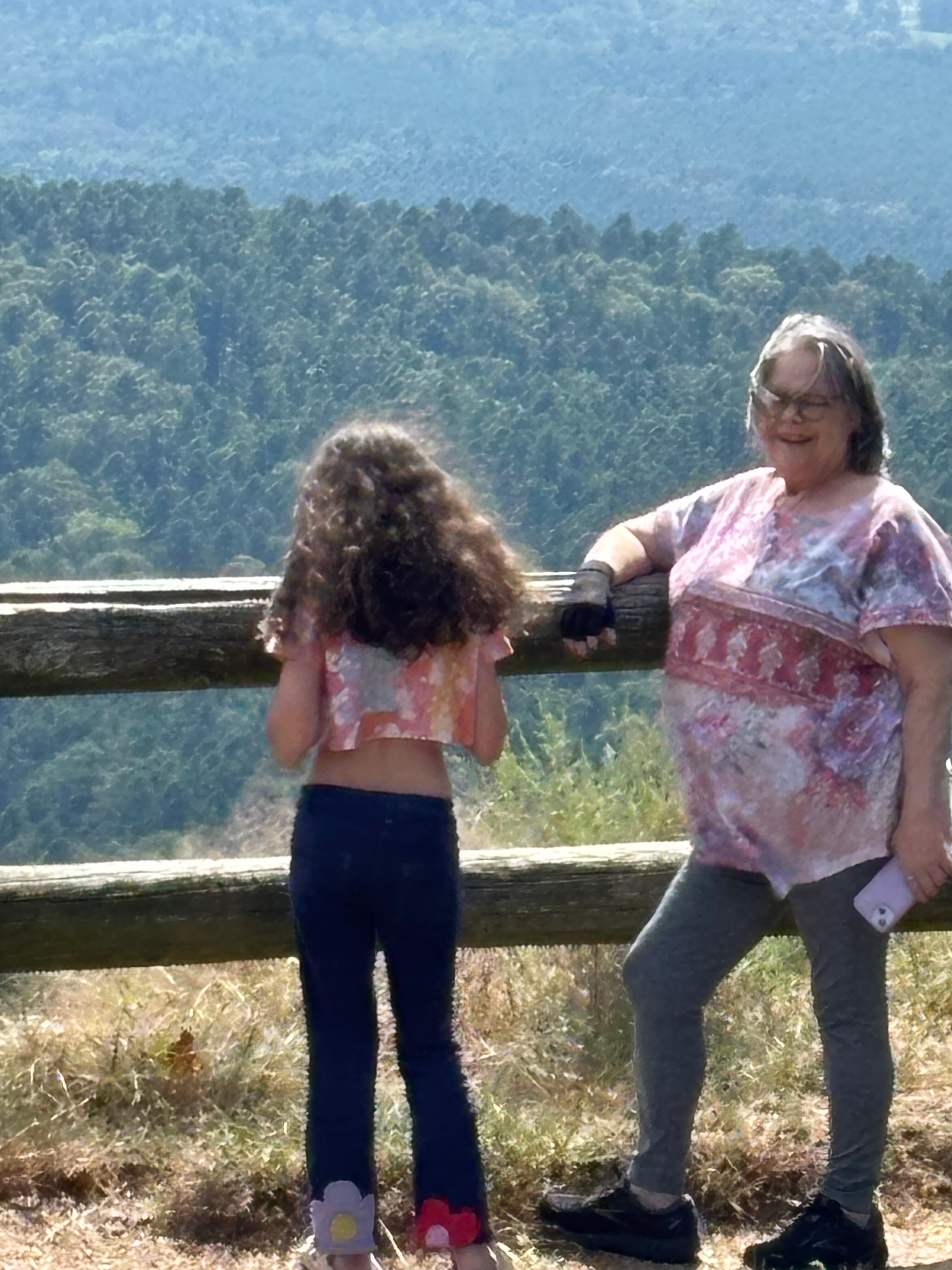 The Lodge at Mount Magazine-官方