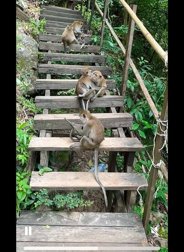 Monkey Trail-奥南必去景点