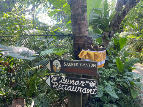 Sacred Canyon Ubud by GenuineHost