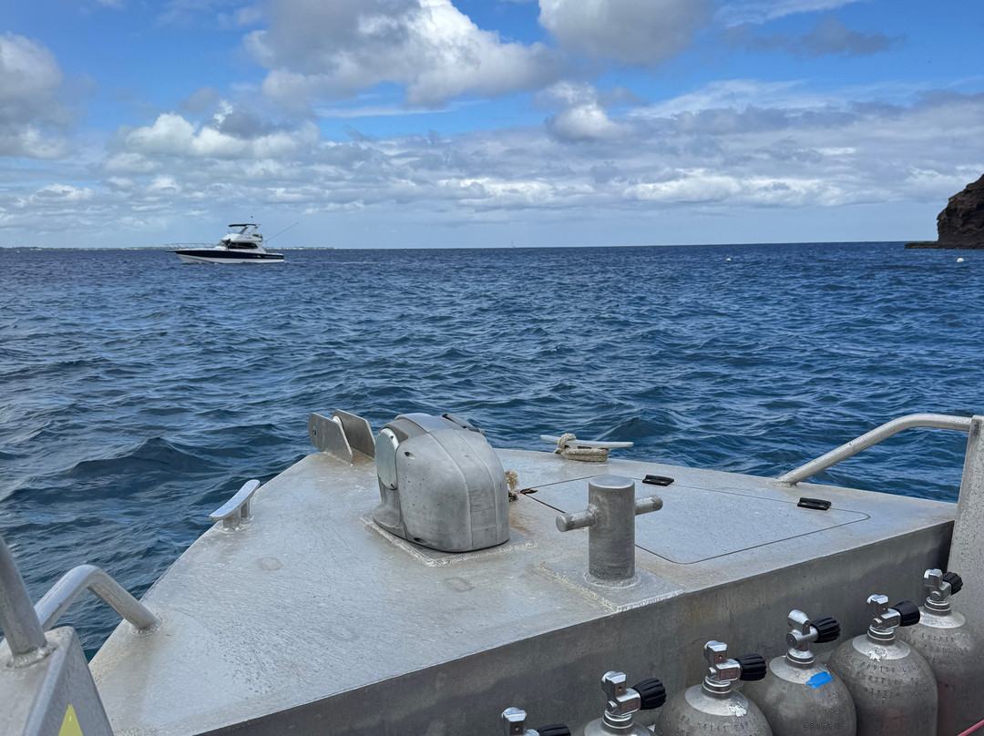 Just Diving-Bain Boeuf必去景点