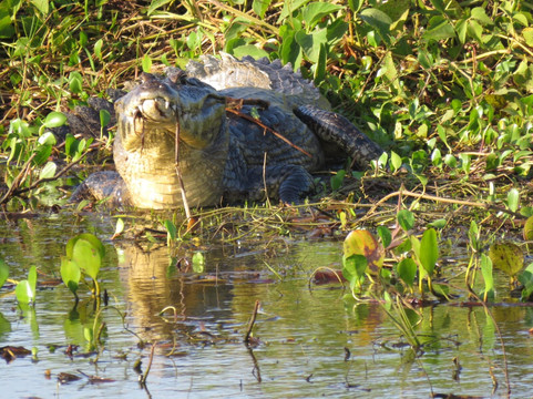 Ecoverde Tours-Cuiaba必去景点