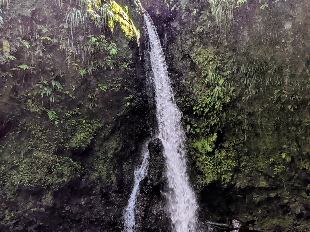 Waitukubuli Adventure Tour Co.-罗索必去景点