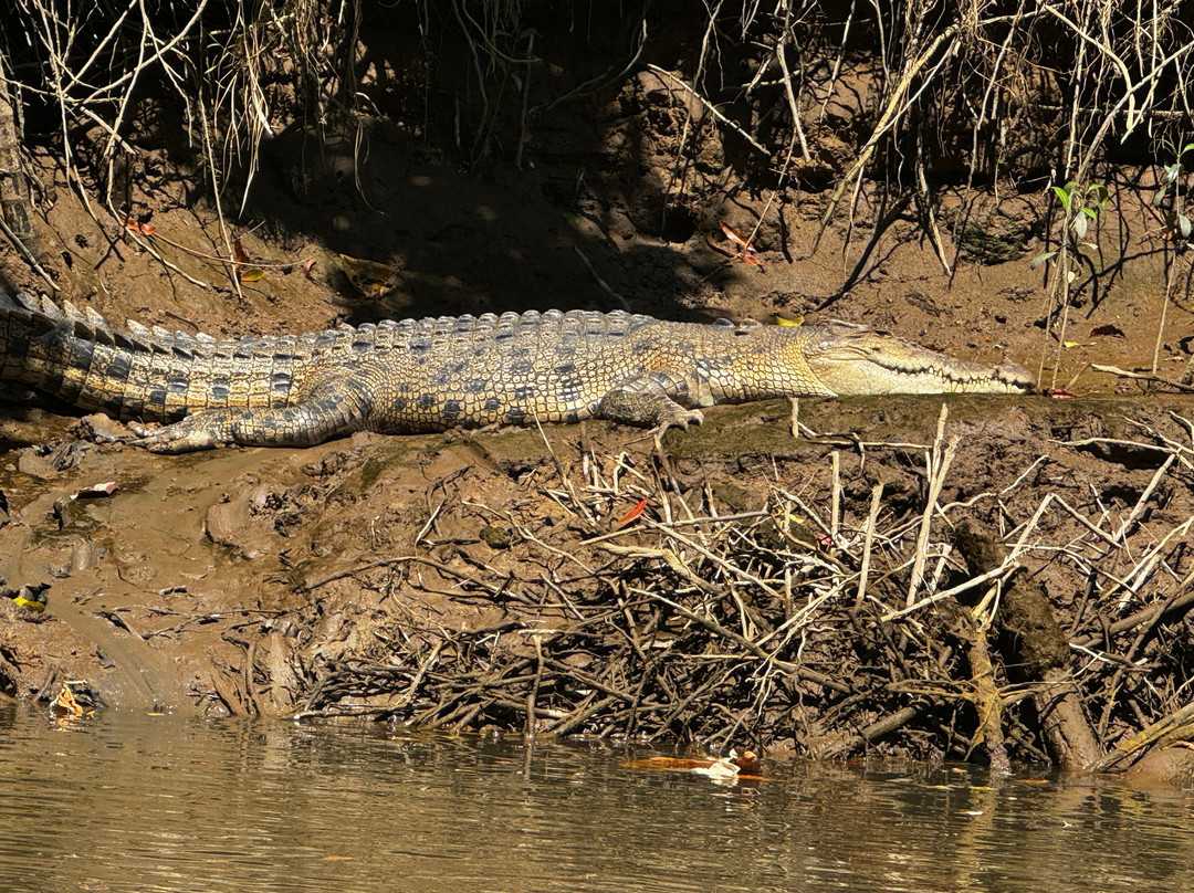 North West Outback Safaris-凯恩斯必去景点