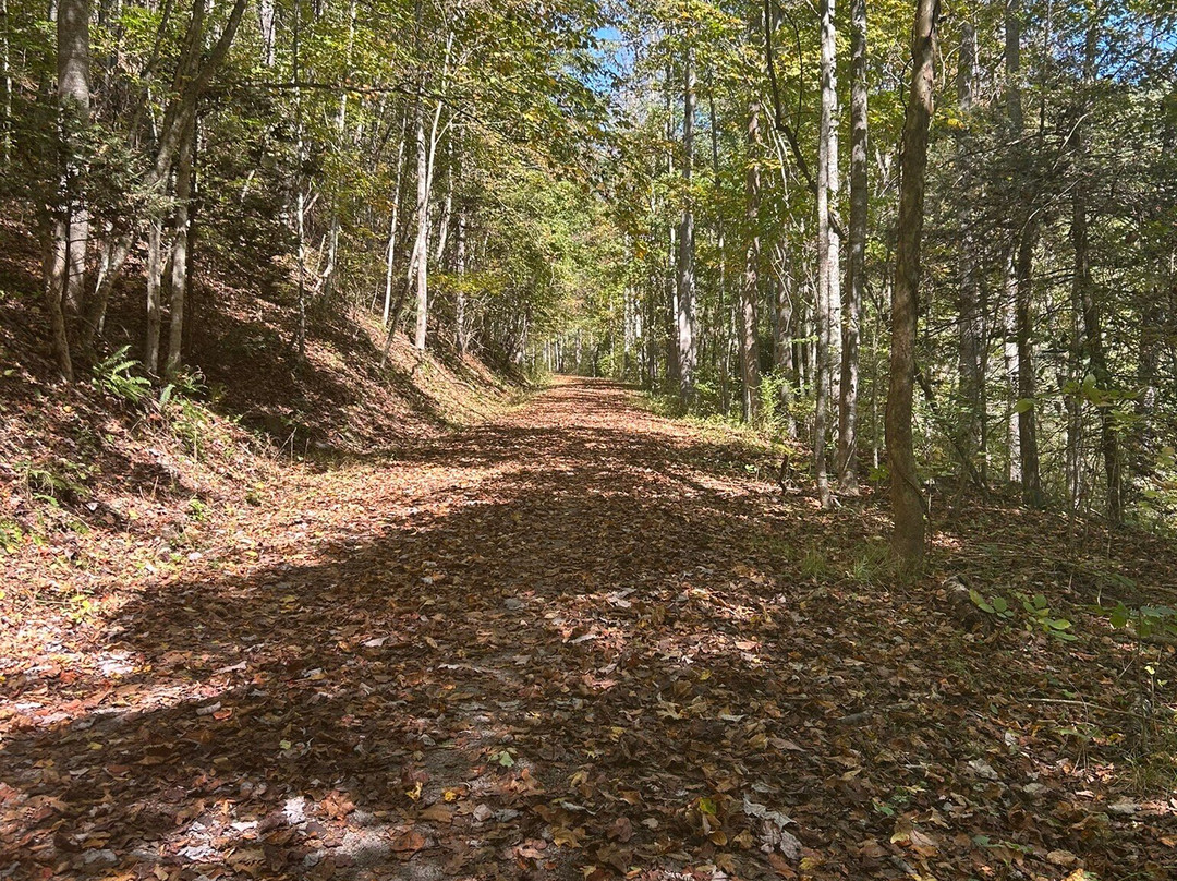 Greenbrier River Trail-西维吉尼亚必去景点