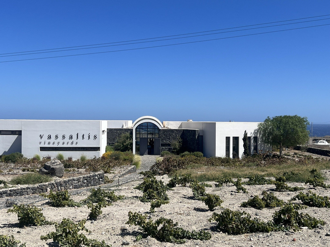 Vassaltis Vineyards-圣托里尼必去景点