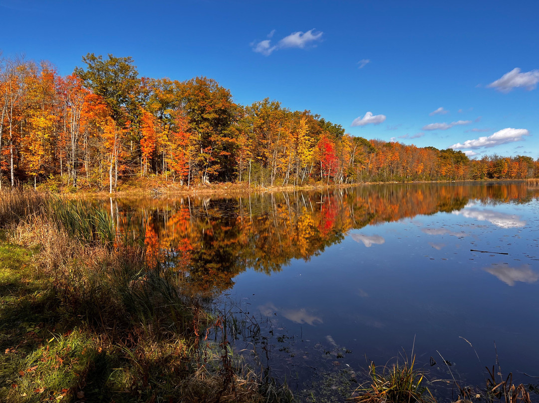 Terra Cotta Conservation Area-霍尔藤山市必去景点