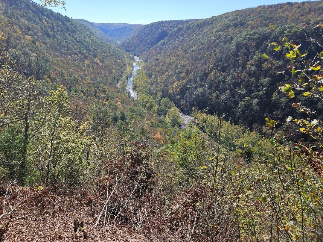 Leonard Harrison State Park-Wellsboro必去景点