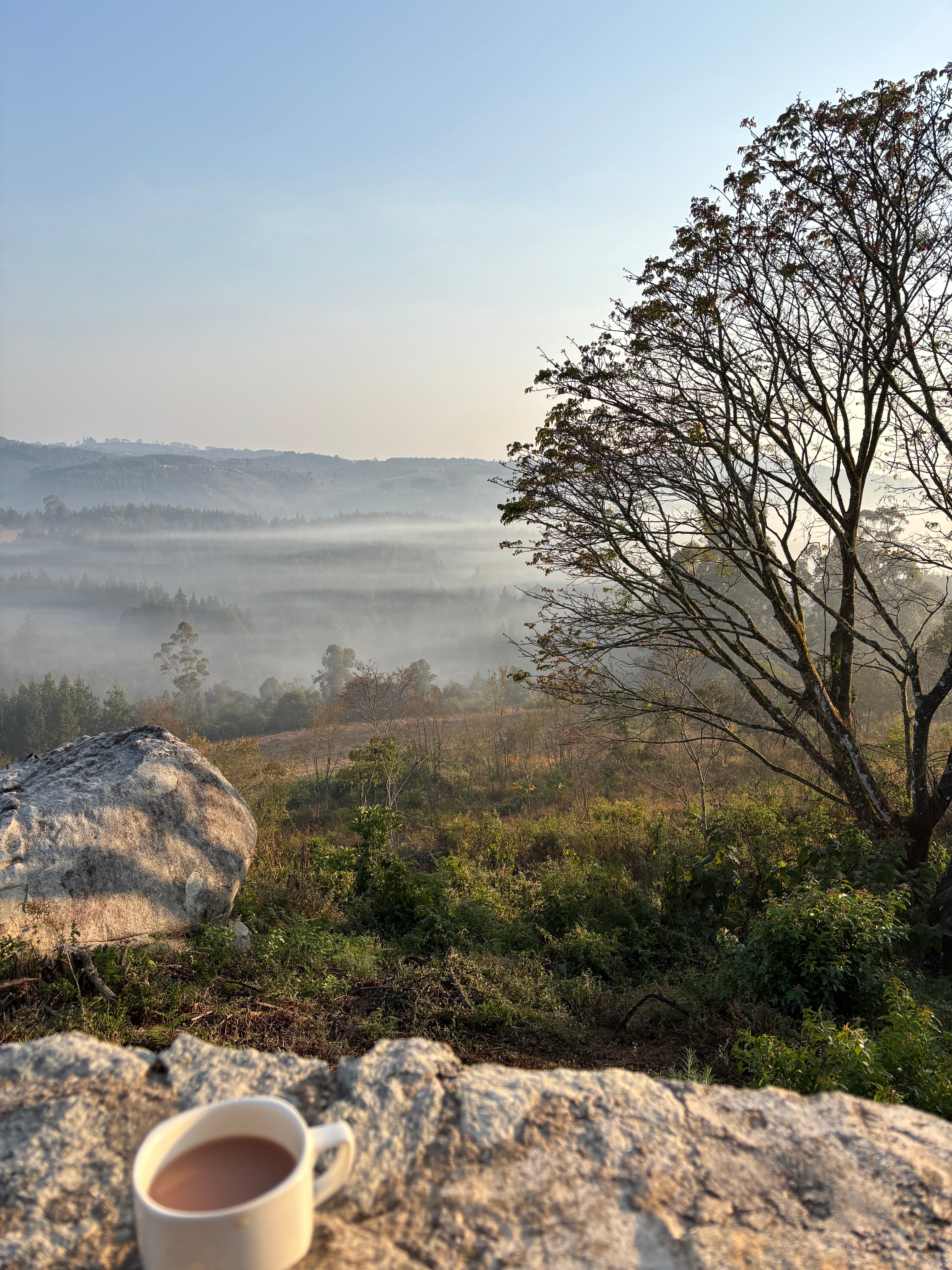 Mufindi Highland Lodge-官方