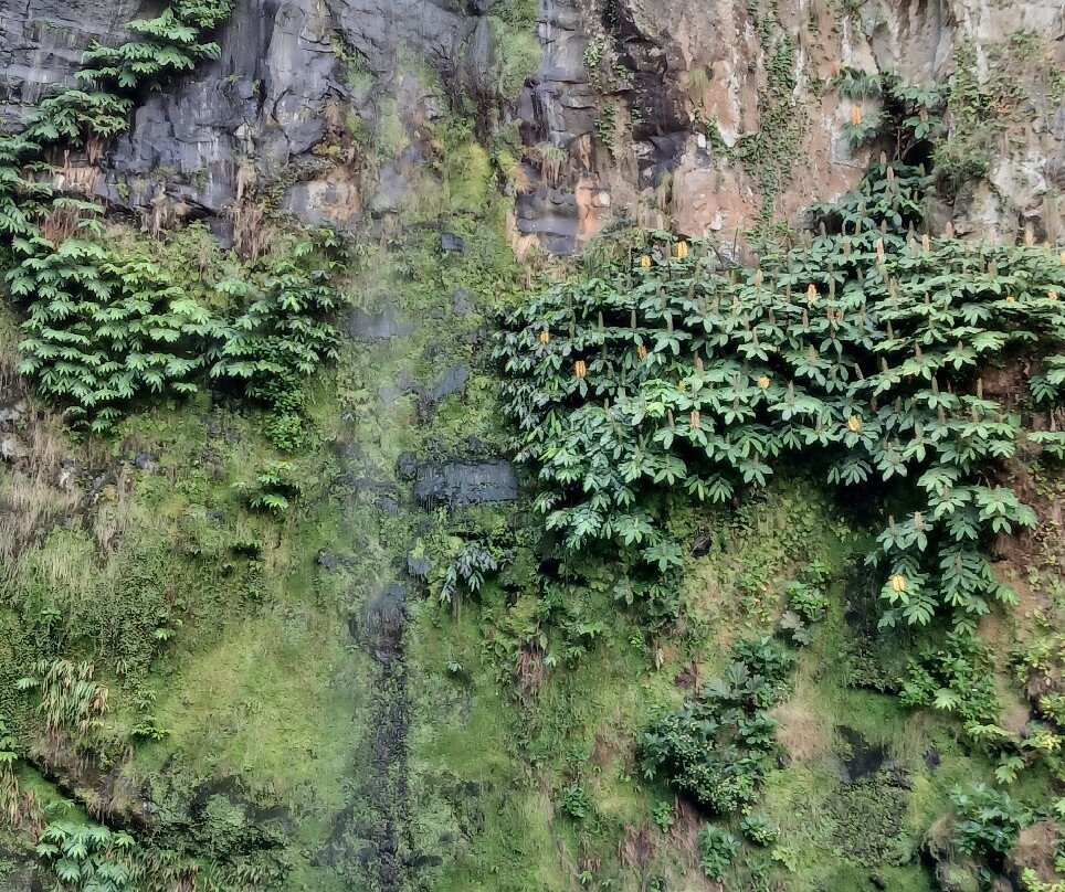 Salto da Farinha-Achadinha必去景点
