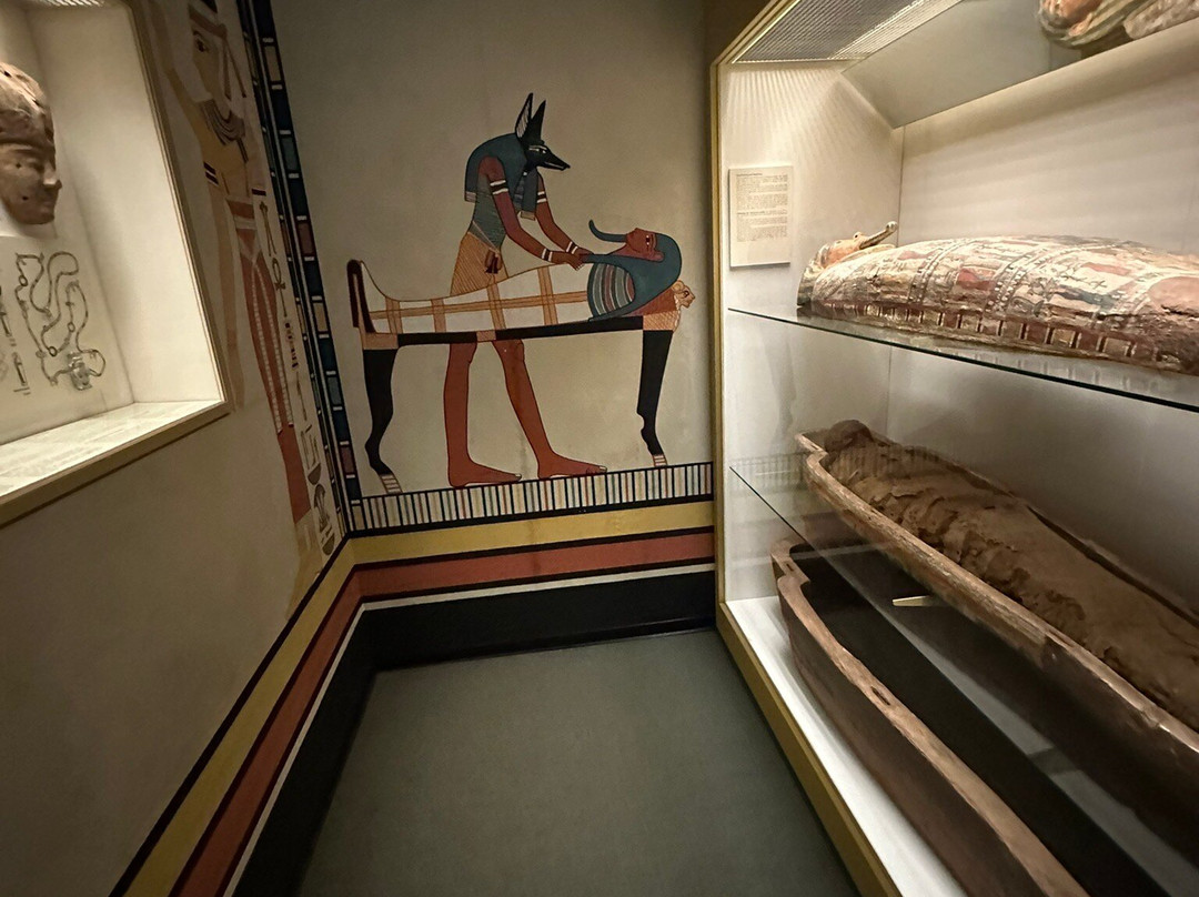 Lippisches Landesmuseum Detmold-Detmold必去景点
