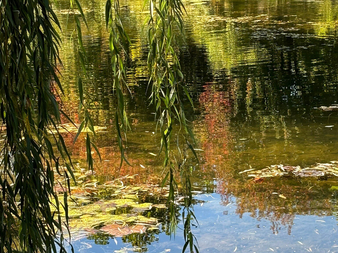 Wellfield Botanic Gardens-埃尔克哈特必去景点