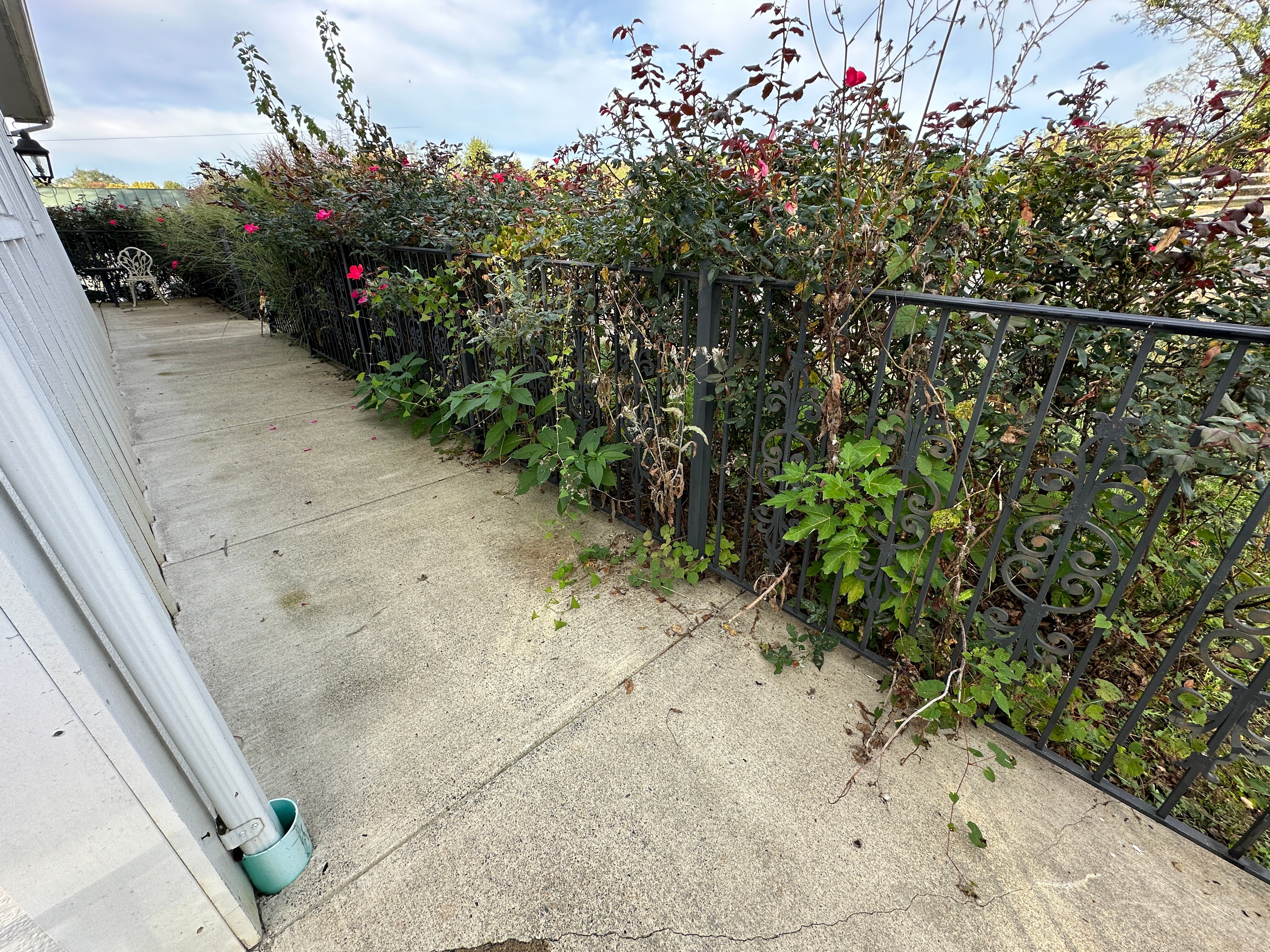 Briar Patch Bed & Breakfast Inn-浴室