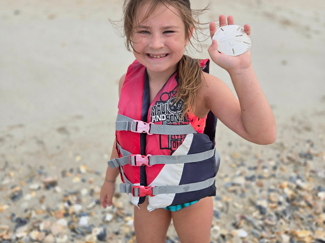 Crystal Coast Ecotours-莫尔黑德城必去景点