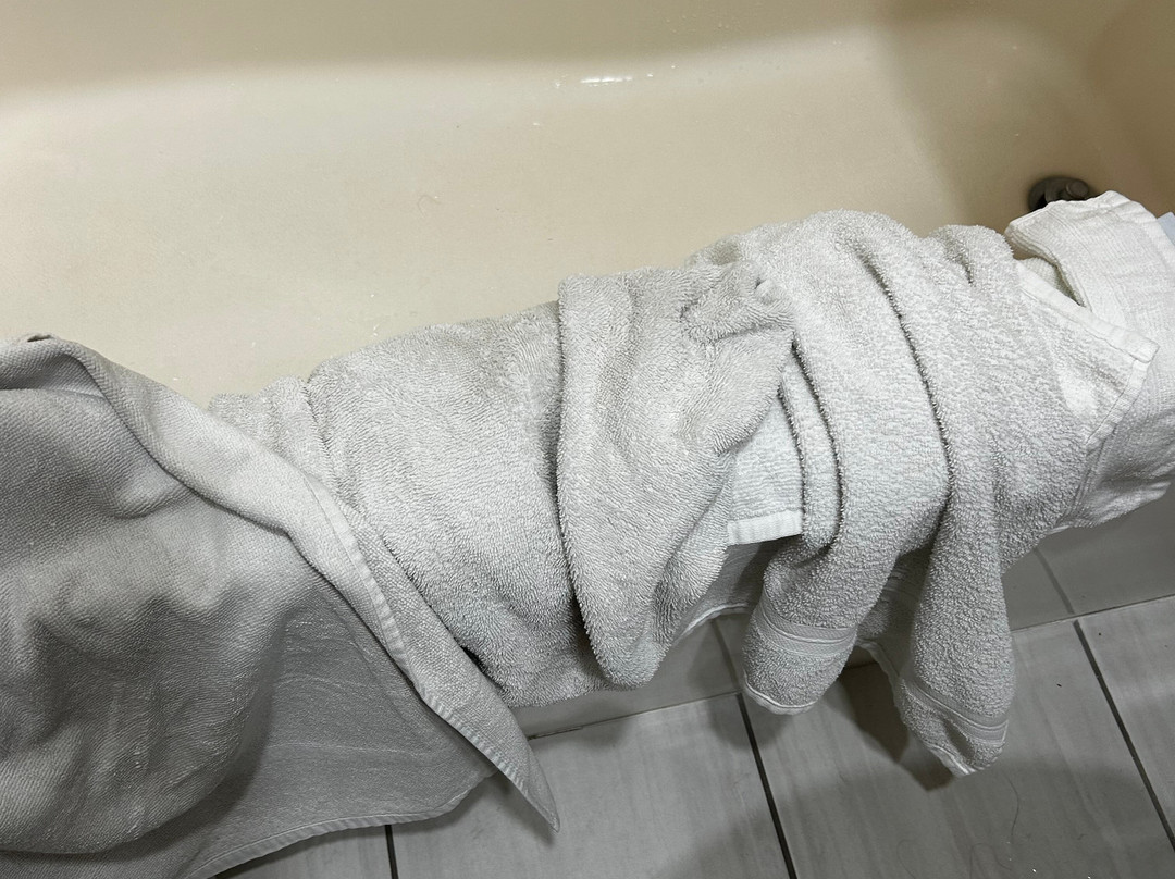 佩吉/鲍威尔湖戴斯套房酒店主图