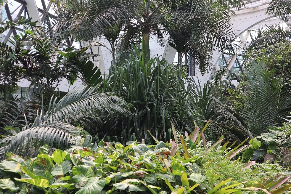 Seoul Botanical Garden-首尔必去景点