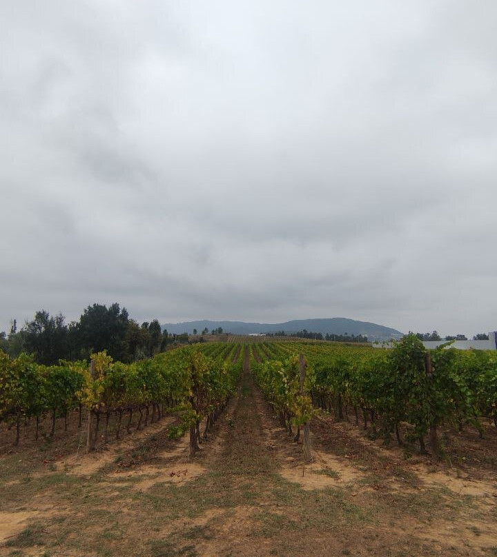 Quinta Da Raza-Celorico de Basto必去景点