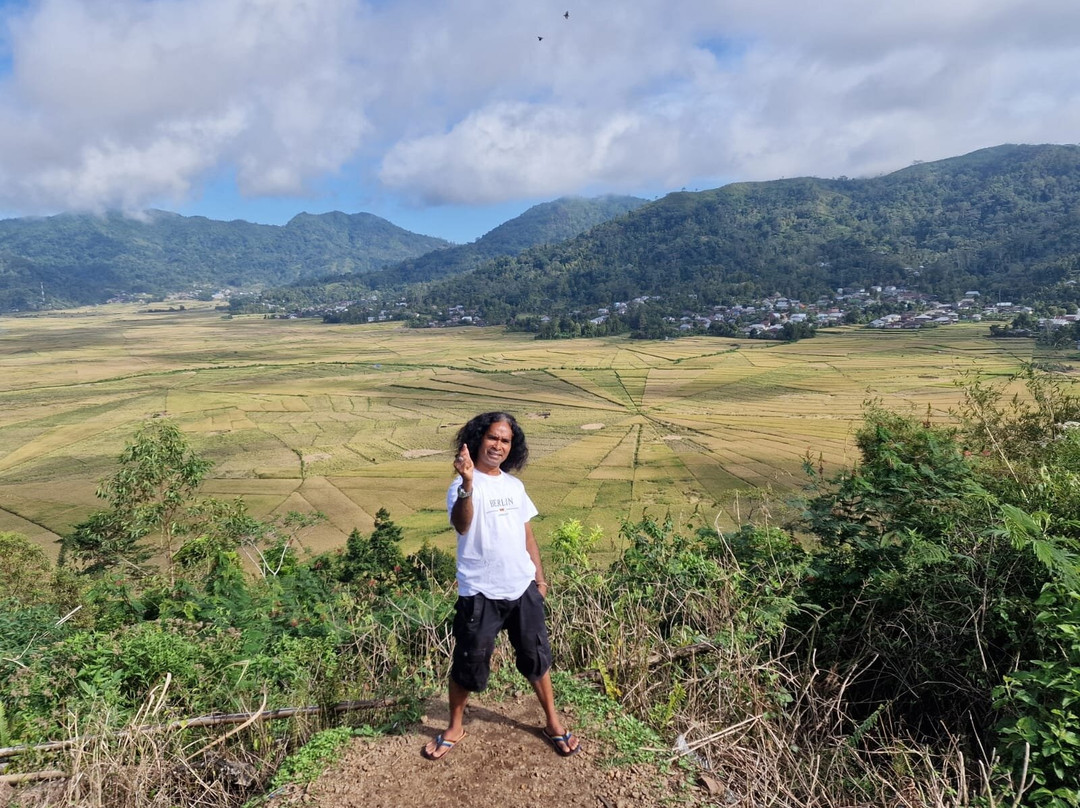 Lingko Spider Web Rice Fields - Walking Tours-Ruteng必去景点