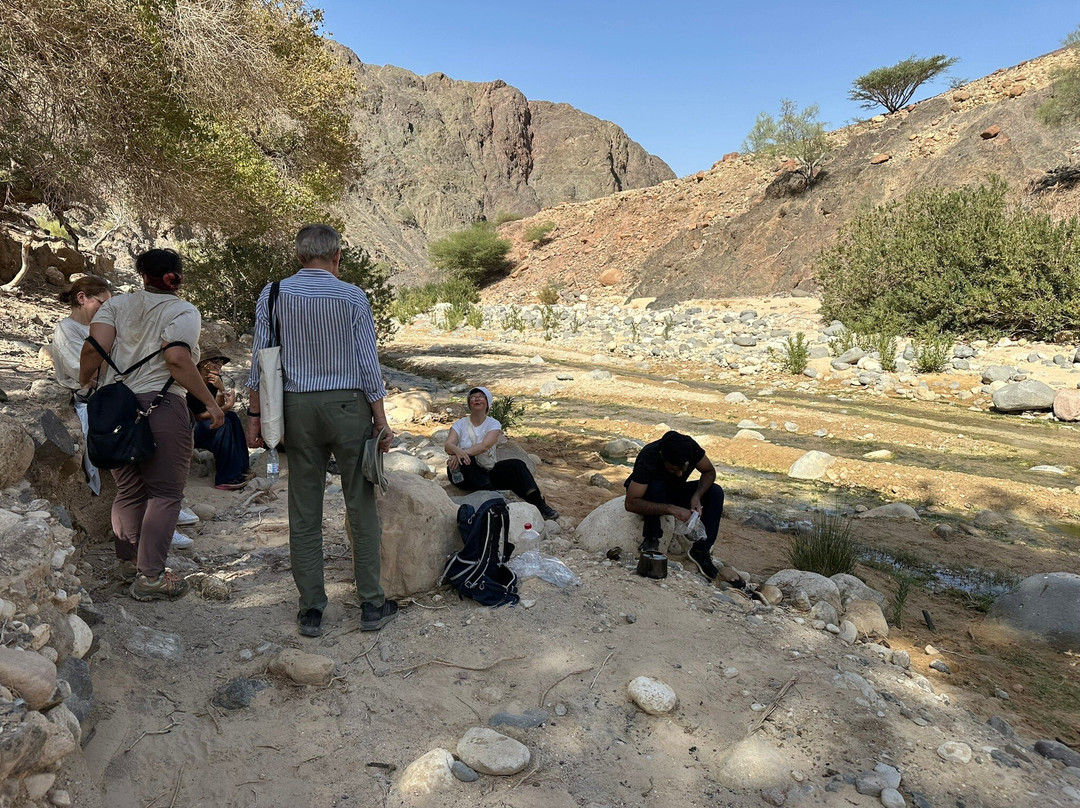 Jordan Trail Adventures-Dana必去景点