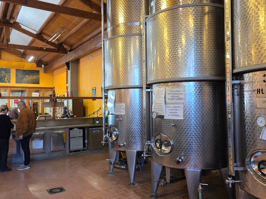 Torrevilla Botteghe del Vino-Torrazza Coste必去景点