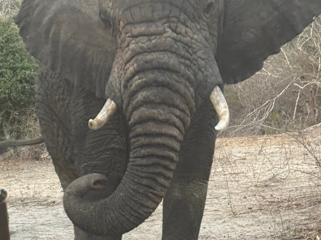 Nyerere National Park-Lindi Region必去景点