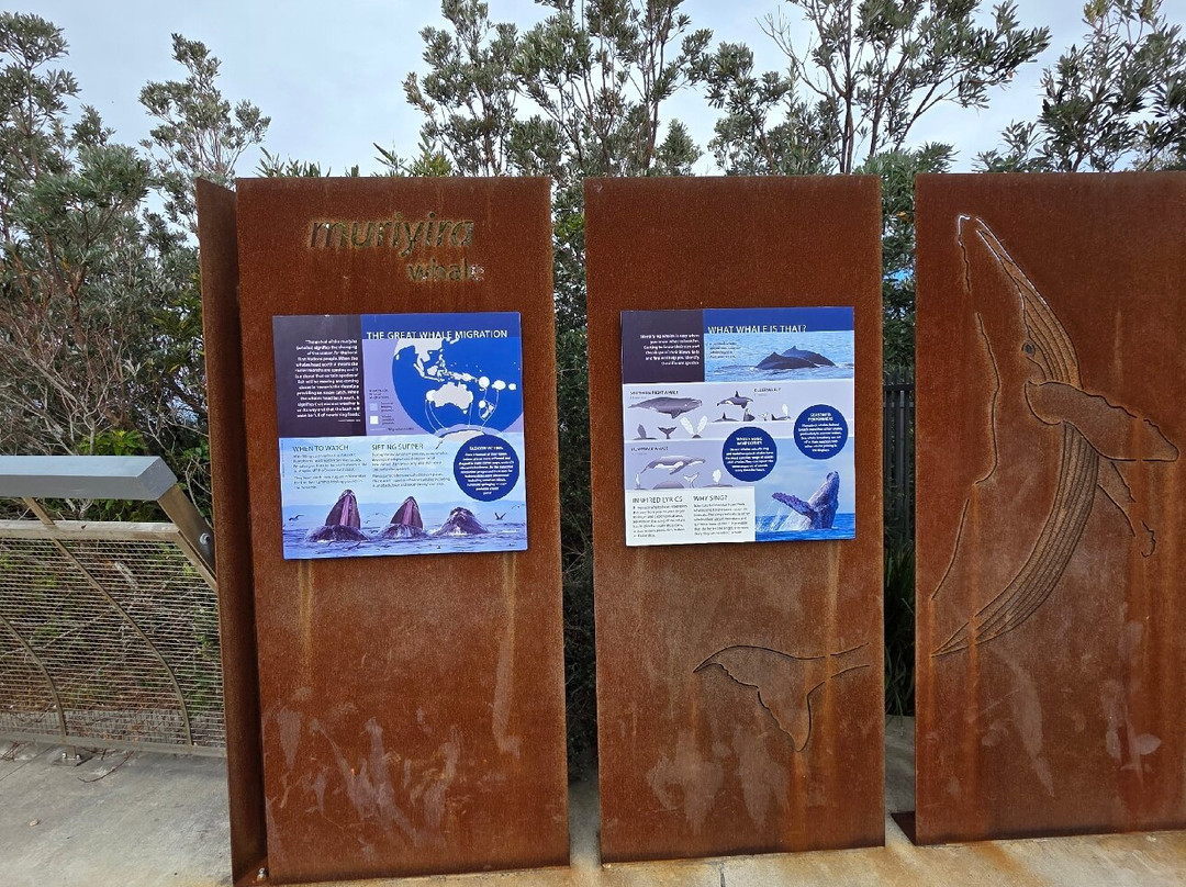 Warden Head Light-阿勒达拉必去景点