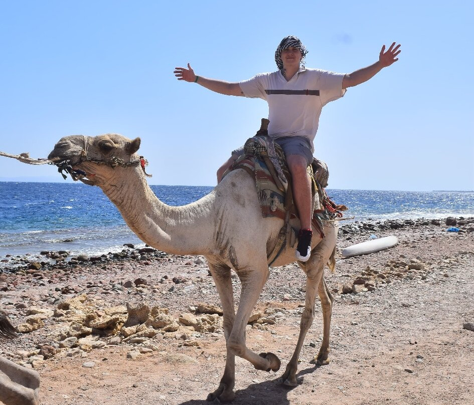 Sharm Happy Tours-沙姆沙伊赫必去景点