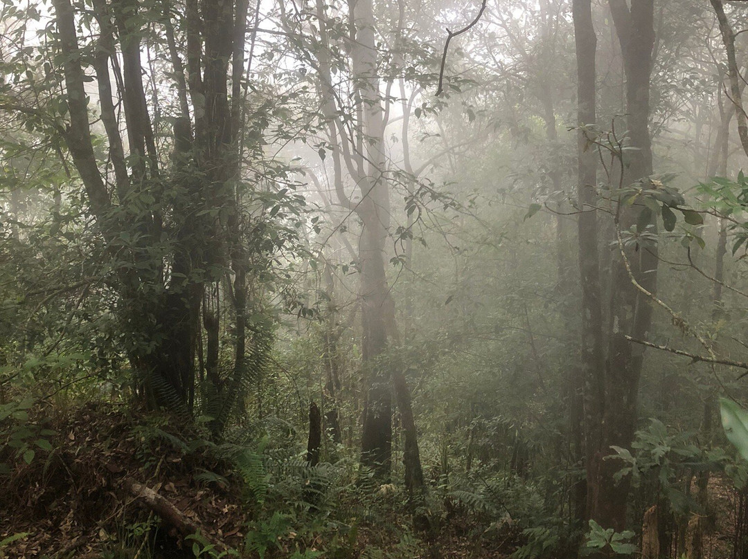 Jaya Trekker-Tetebatu必去景点