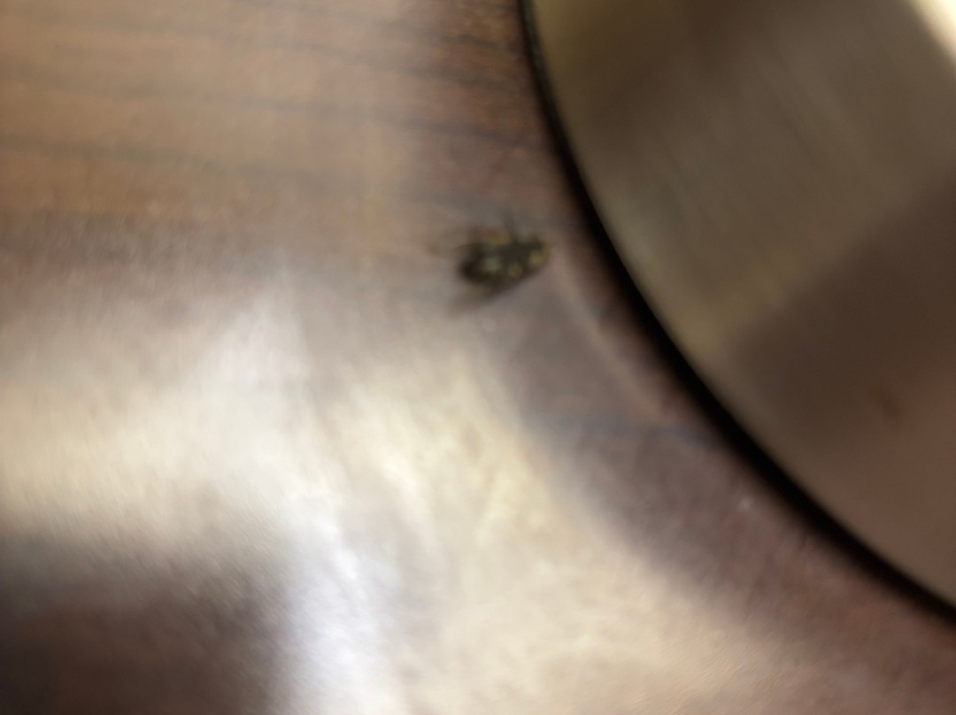 AmericInn Lodge & Suites Of Blue Earth主图