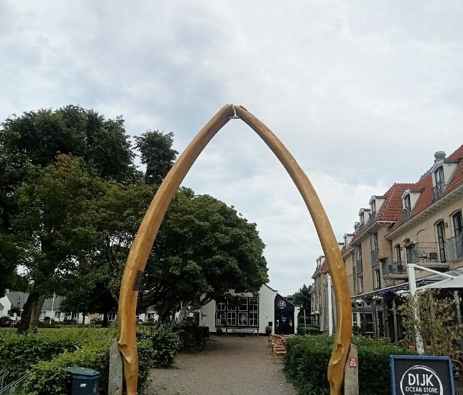 Whale Jaws-Schiermonnikoog必去景点