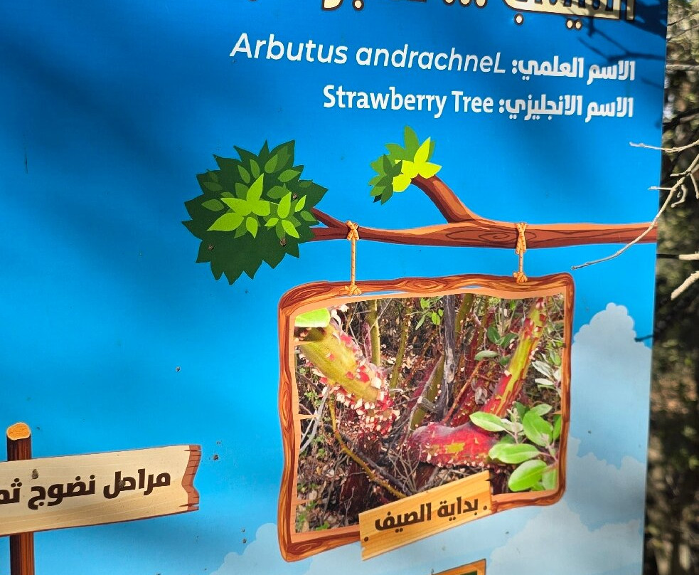 Ajloun Forest Reserve