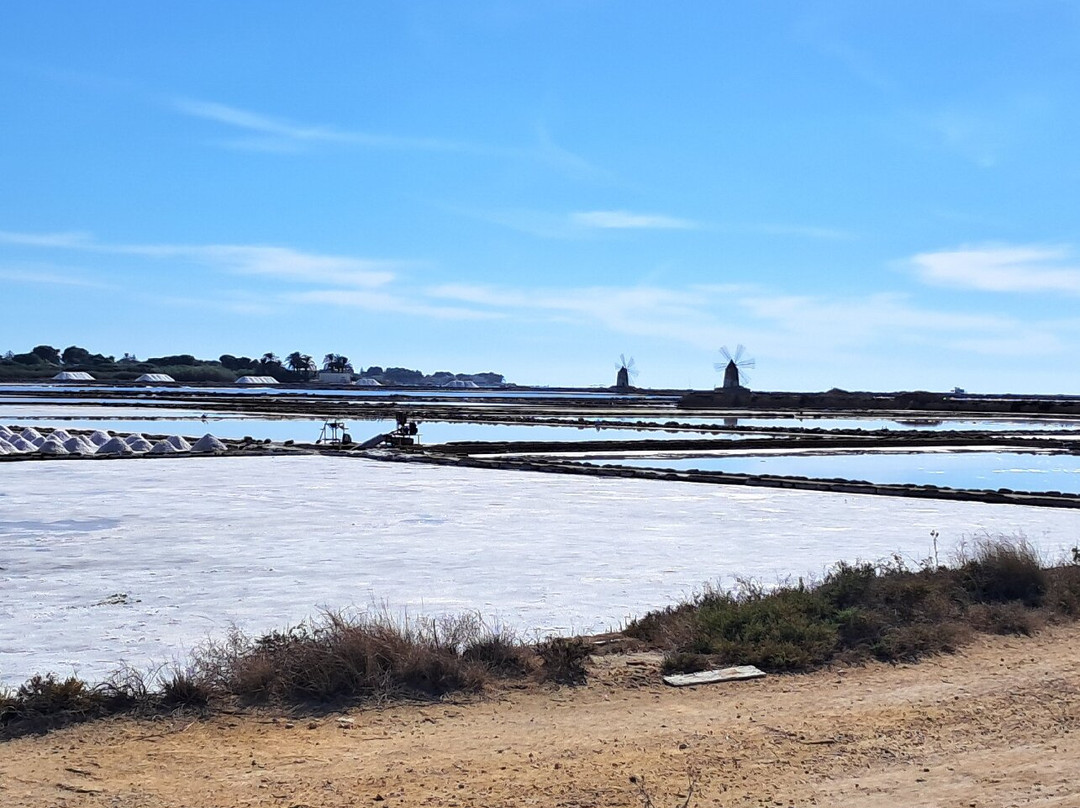Saline of the Laguna Marsala-马尔萨拉必去景点