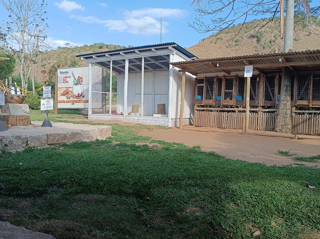 Valentim Iogurteria Artesanal-多明戈斯-马丁斯必去景点