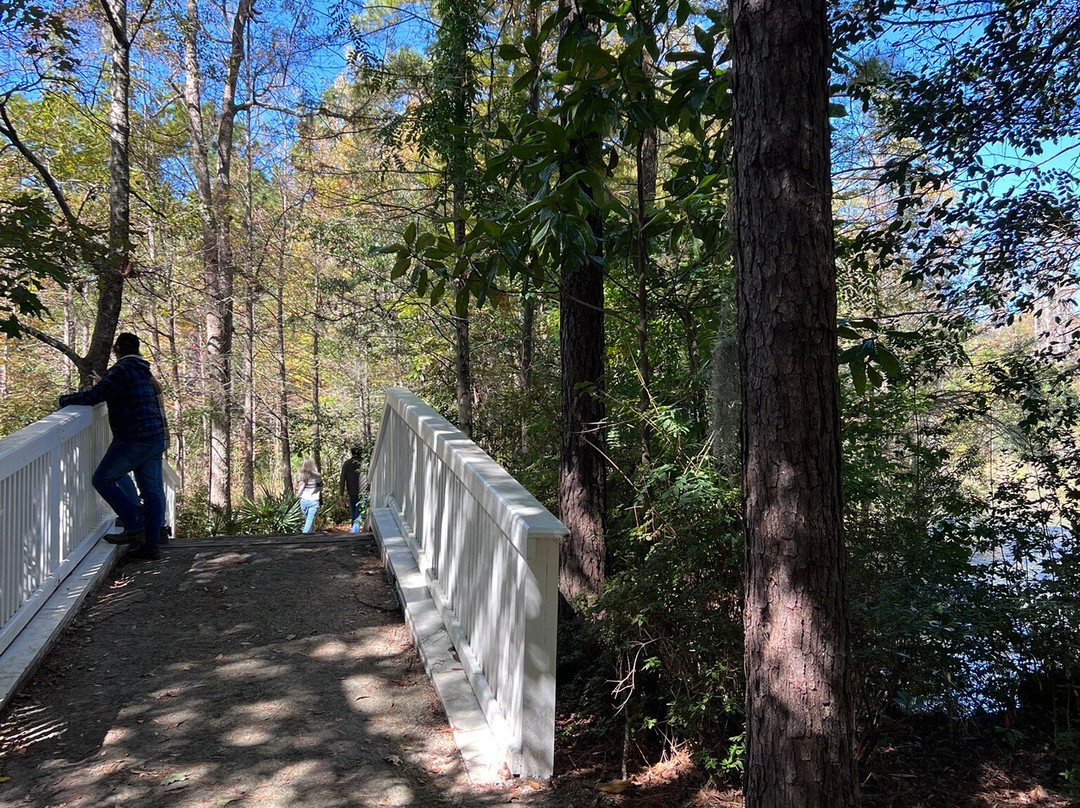 Cypress Gardens-蒙克斯科纳必去景点