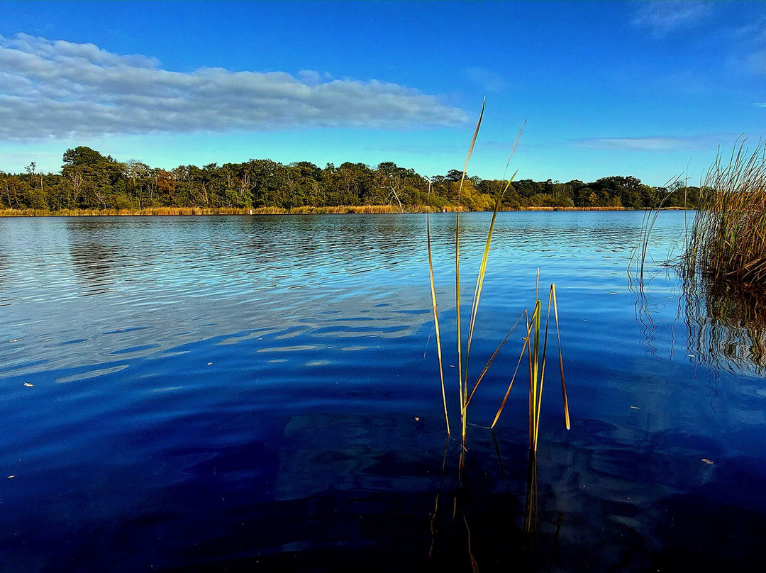 Fairhaven Woodland and Water Garden-South Walsham必去景点