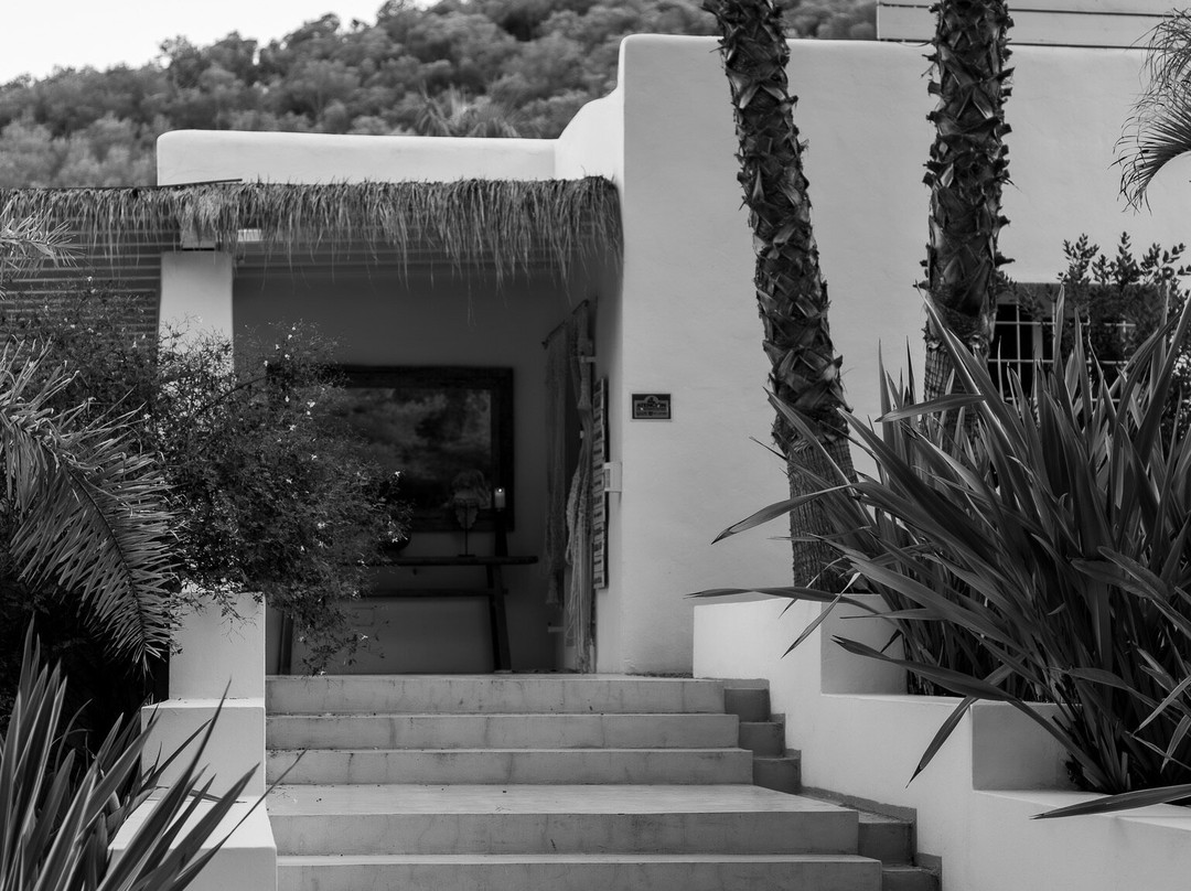 Pure House Ibiza主图