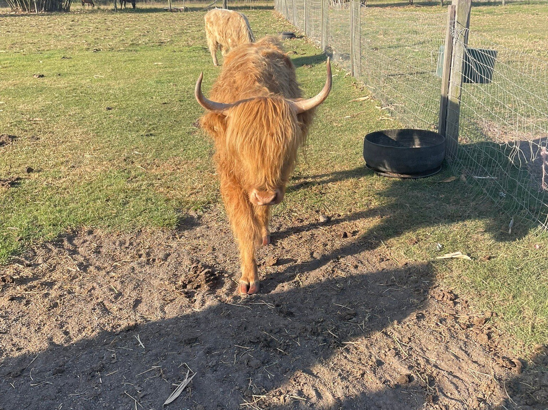 Splitters Farm-邦德堡必去景点