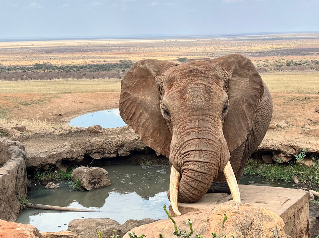 Cherish Africa Safaris-Kikuyu必去景点