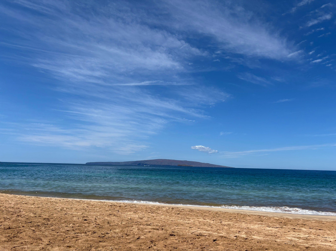 Palauea Beach-维雷亚必去景点
