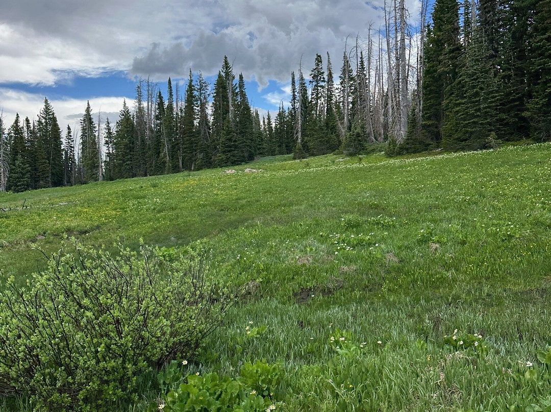 Mount Zirkel Wilderness Area-斯廷博特斯普林斯必去景点