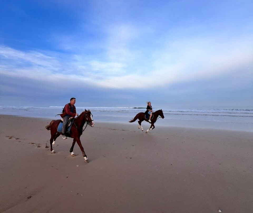 Mogador Horse-Diabat必去景点