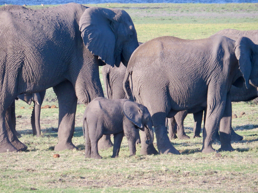 Gondwana Tours & Safaris-马翁必去景点