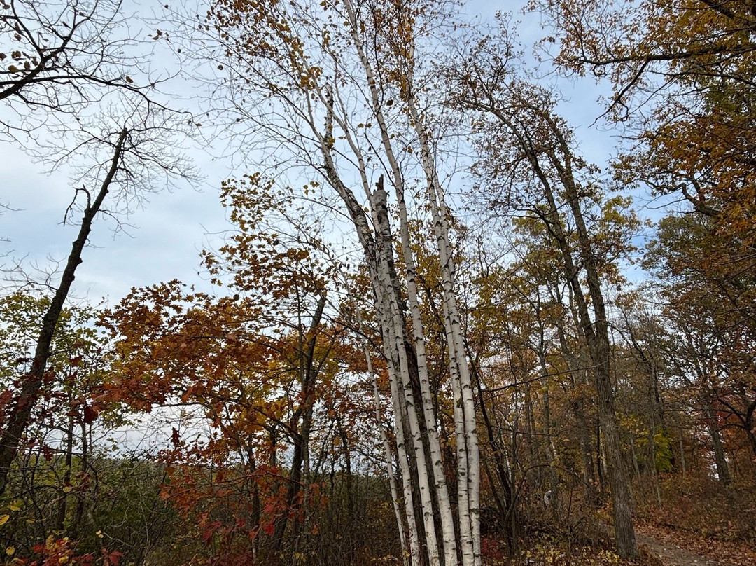 Mille Lacs Kathio State Park-Onamia必去景点