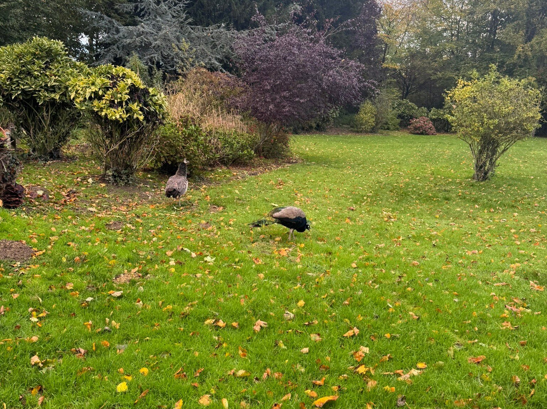 Maison Grandsire - Logis de Charme主图