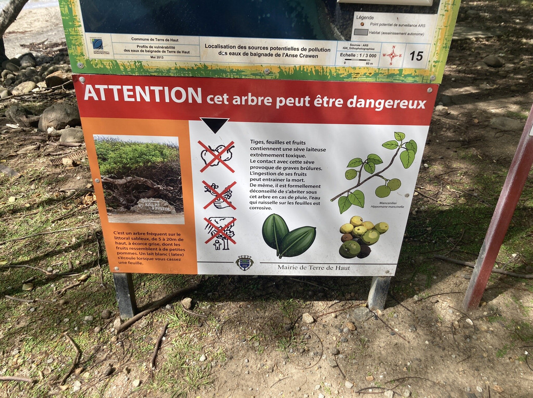 Crawen-Terre-de-Haut必去景点