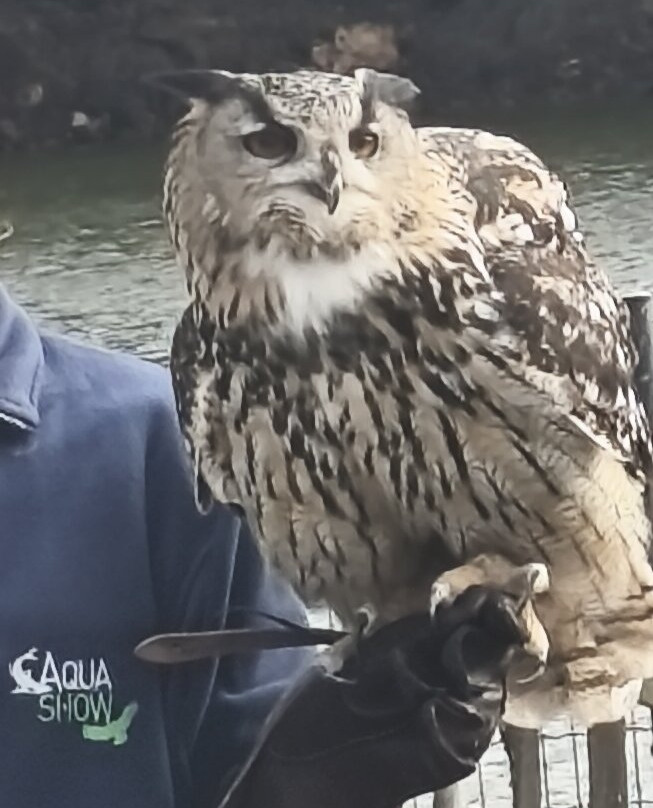 L'Aquashow-Audierne必去景点